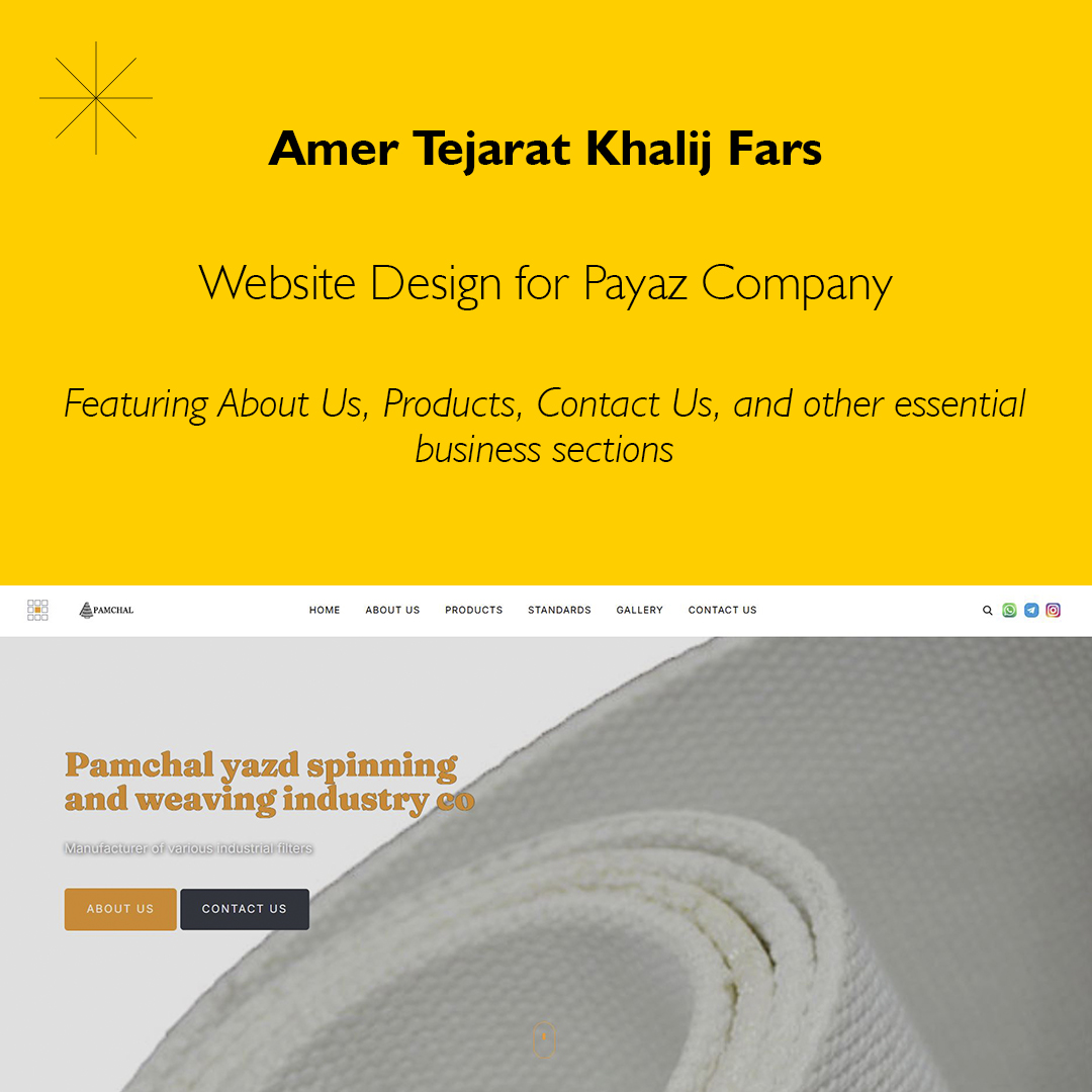 Website Design for Payaz Company